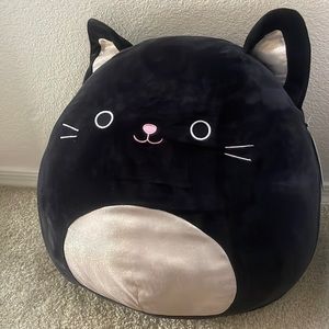 Autumn 16’ squishmallow cat